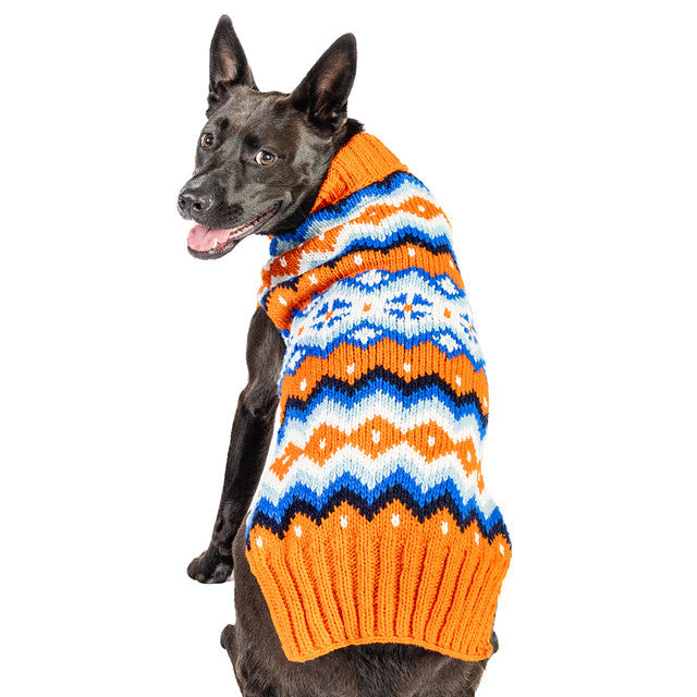 Dog wearing a colorful sweater on a white background