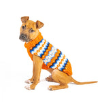 Dog wearing a colorful sweater on a white background