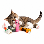 Cat playing with colorful cat toys on a white background