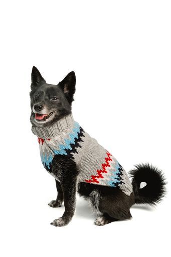Gray Chevron Dog Sweater XL full