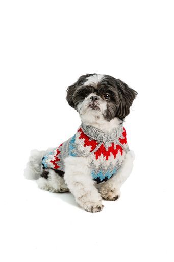 Gray Chevron Dog Sweater Sm