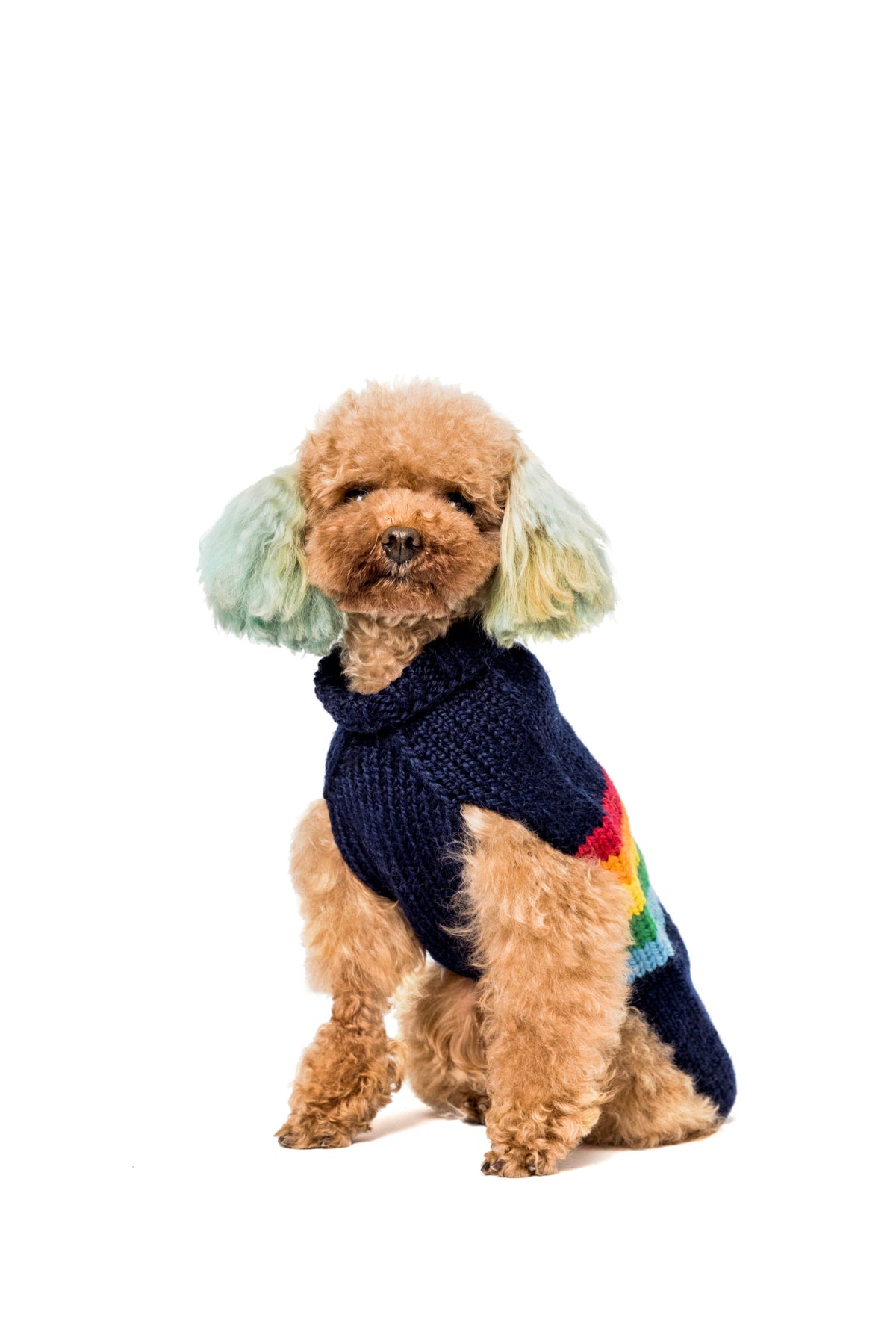 Alpaca Good Vibes Dog Sweater front