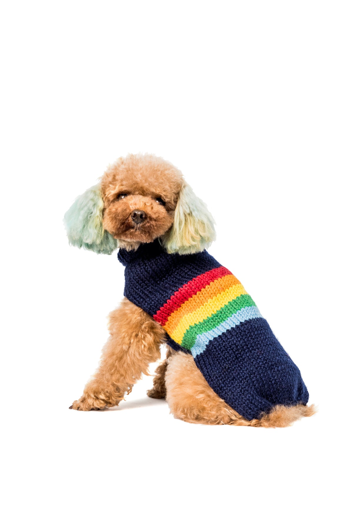 Alpaca Good Vibes Dog Sweater full
