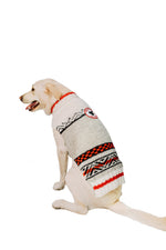 Squirrel Patrol Wool Dog Sweater back