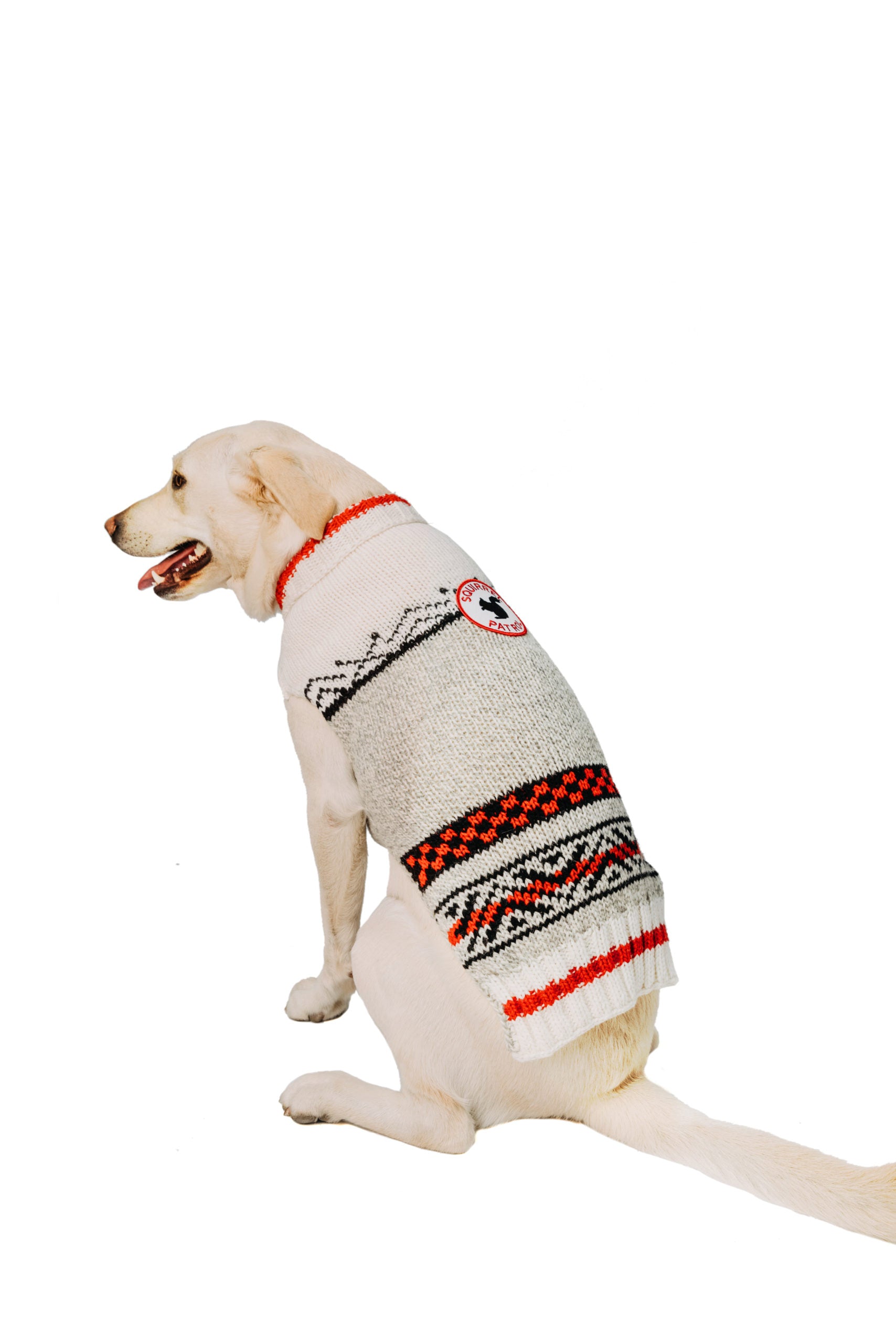 Squirrel Patrol Wool Dog Sweater back