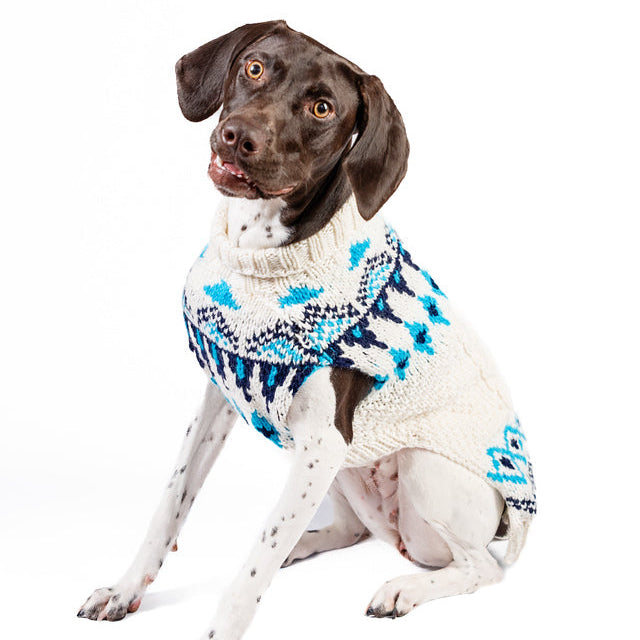 Dog wearing a white sweater with blue patterns on a white background