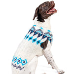 Dog wearing a white sweater with blue geometric patterns on a white background