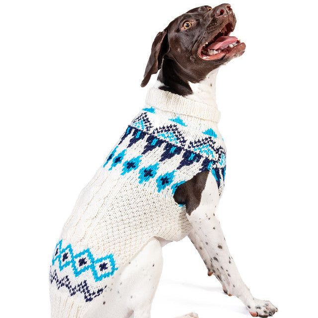 Dog wearing a white sweater with blue geometric patterns on a white background