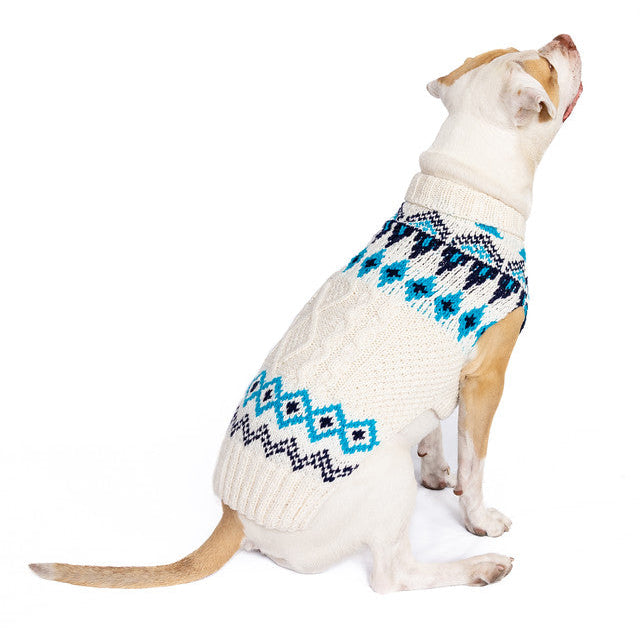 Dog wearing a white sweater with blue and black pattern on a white background