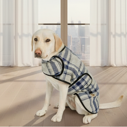 Dog wearing a plaid coat sitting indoors with a cityscape view in the background