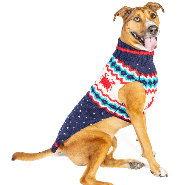 Dog wearing a colorful sweater on a white background