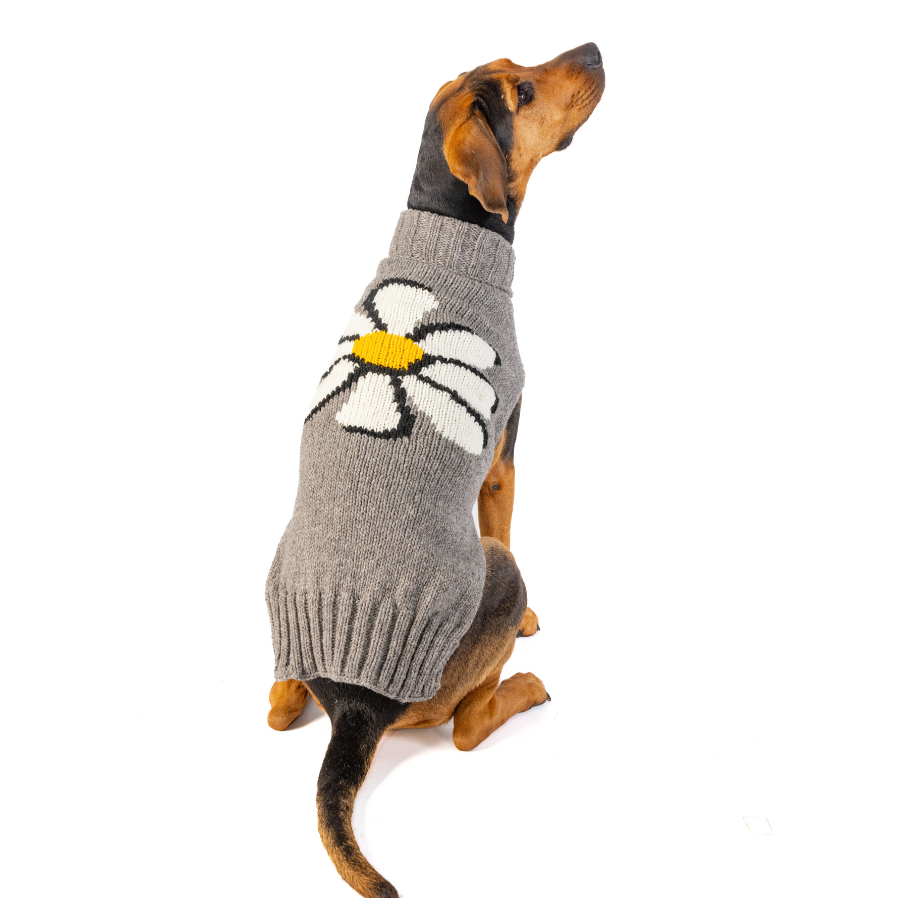 Big Daisy Dog Sweater (1)