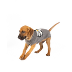Big Daisy Dog Sweater (2)