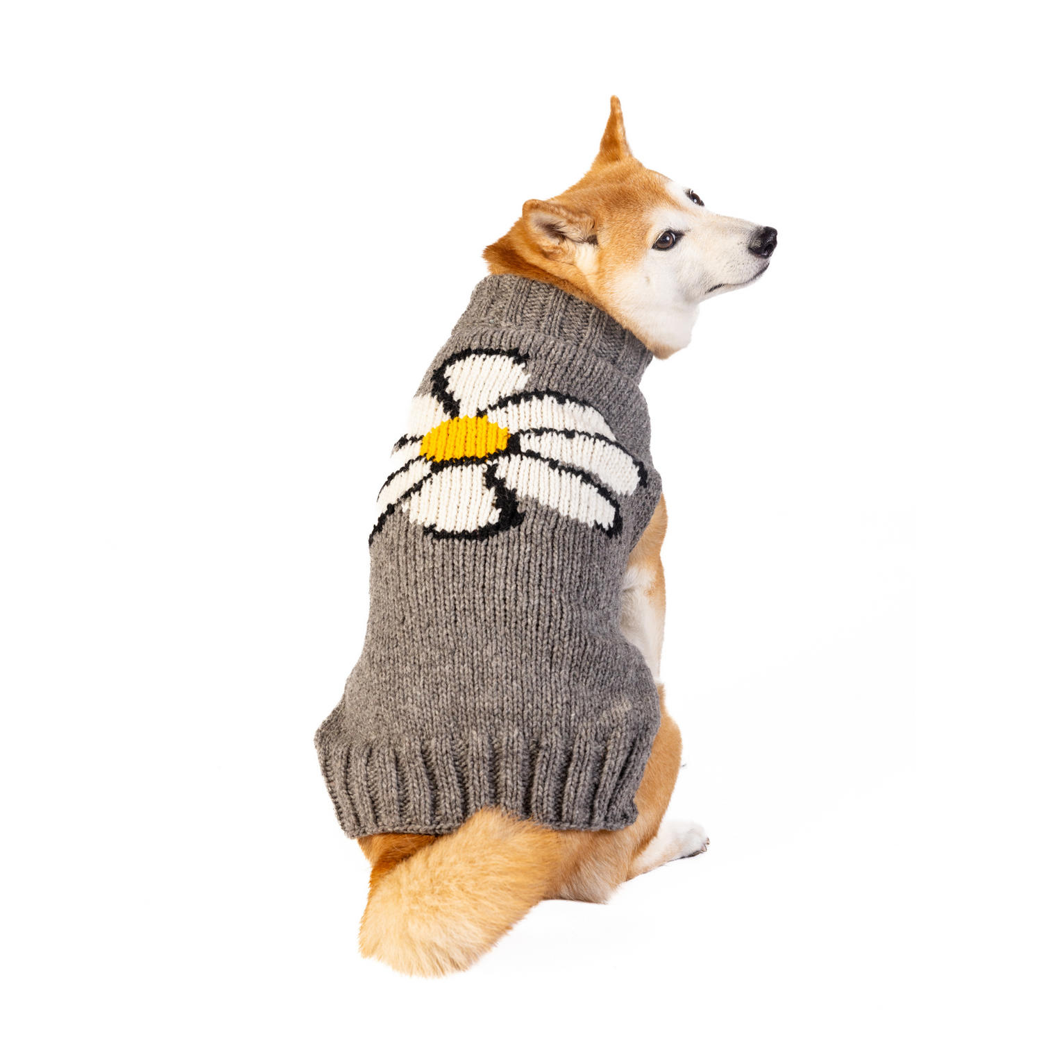 Big Daisy Dog Sweater (3)