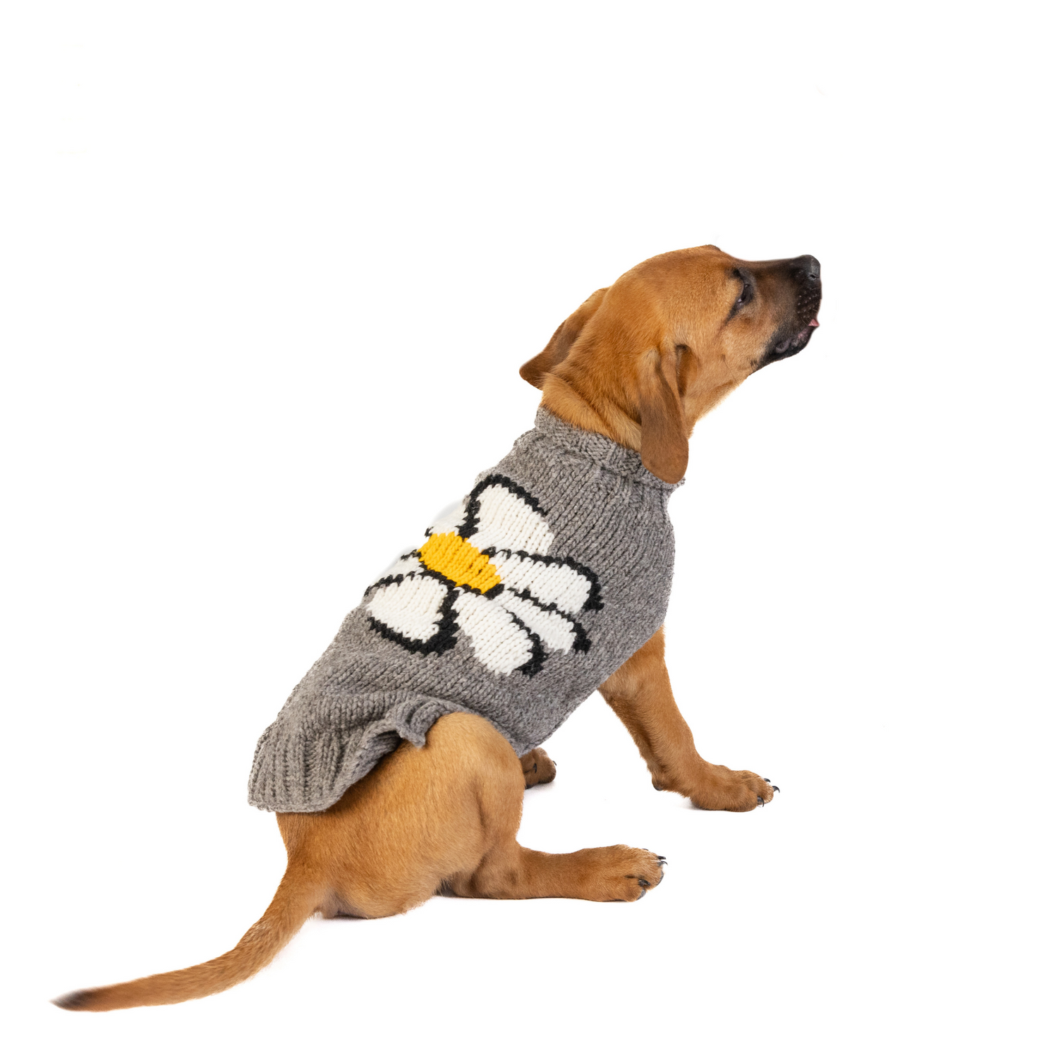Big Daisy Dog Sweater (4)