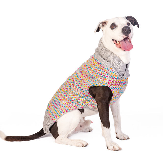 medium dog sweater Sprinkles Dog Sweater