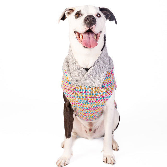 Sprinkles Dog Sweater dots_XL_24-X2