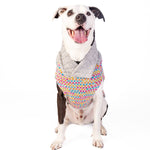 Sprinkles Dog Sweater dots_XL_24-X2