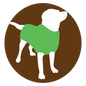 Dog wearing a green sweater on a brown background