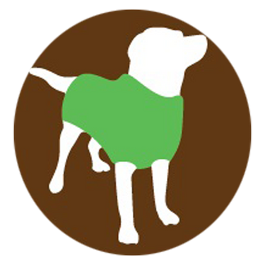 Dog wearing a green sweater on a brown background