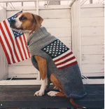 Dog wearing a sweater with American flag design in front of an American flag.