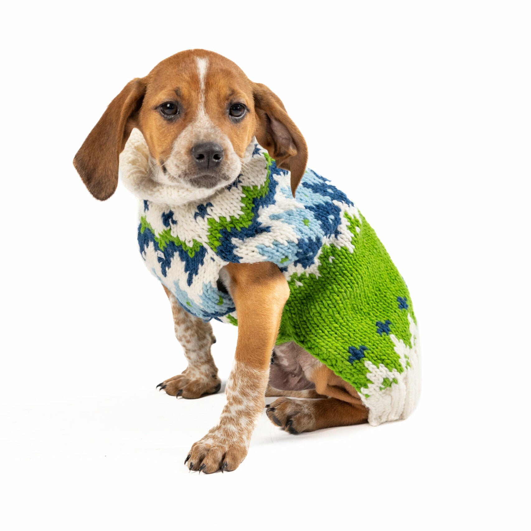 Spring Ski Bum Dog Sweater M full