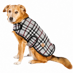 Dog wearing a plaid coat on a white background