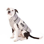 Dog wearing a gray sweater with black skeleton design on a white background