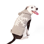 Dog wearing a gray sweater with white snowflake pattern on a white background