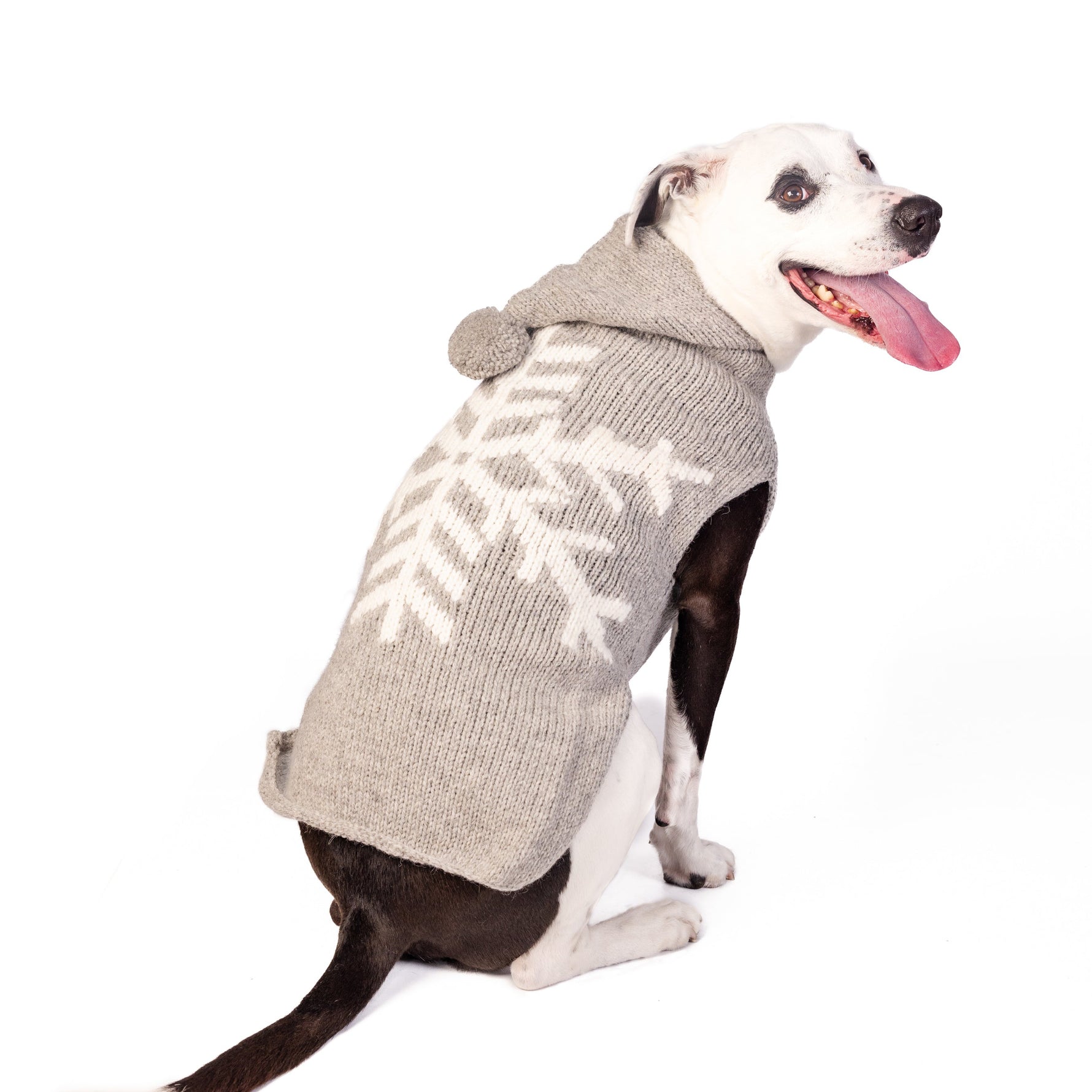 Dog wearing a gray sweater with white snowflake pattern on a white background