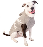 Dog wearing a gray sweater with white snowflake patterns on a white background