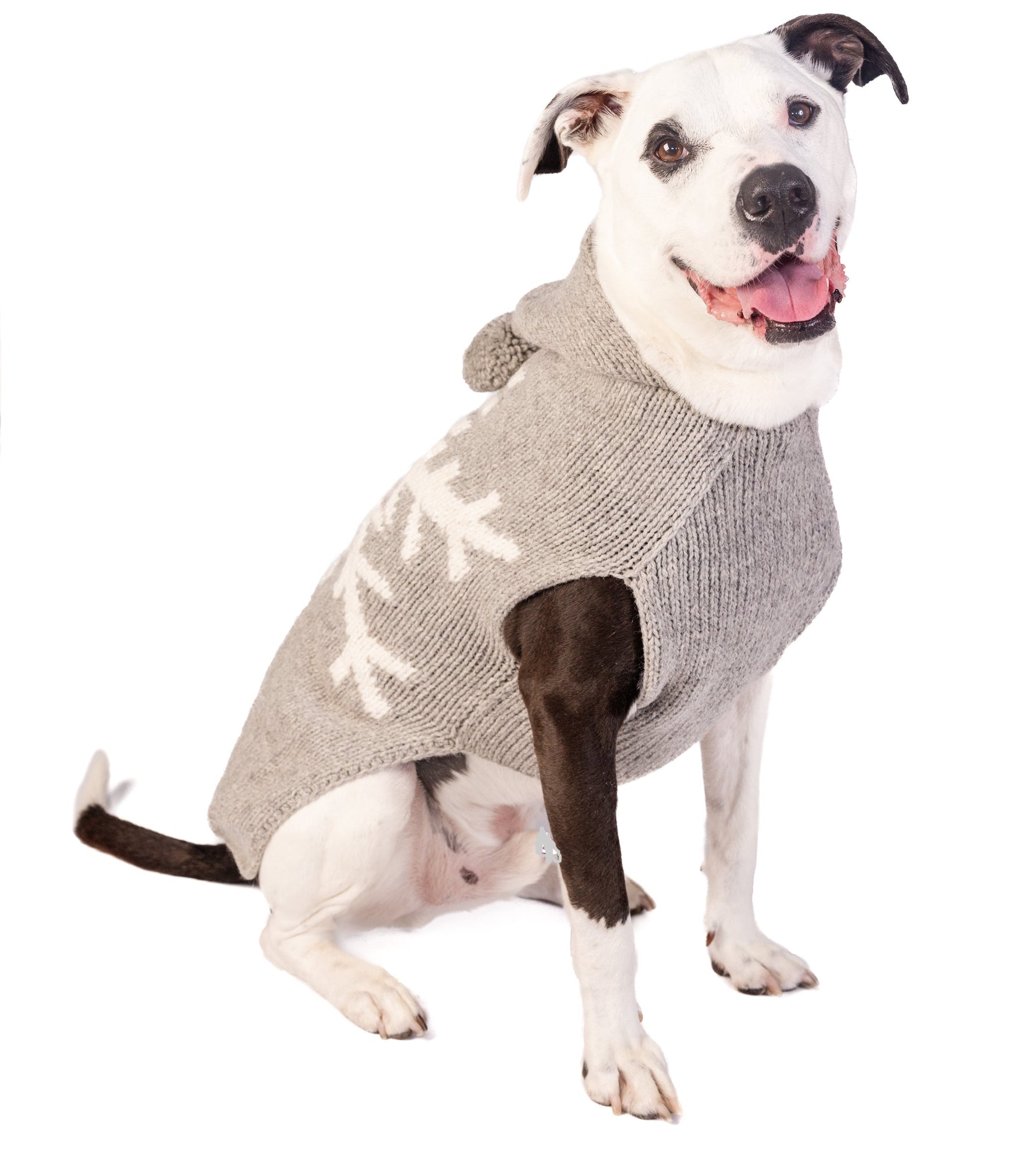 Dog wearing a gray sweater with white snowflake patterns on a white background