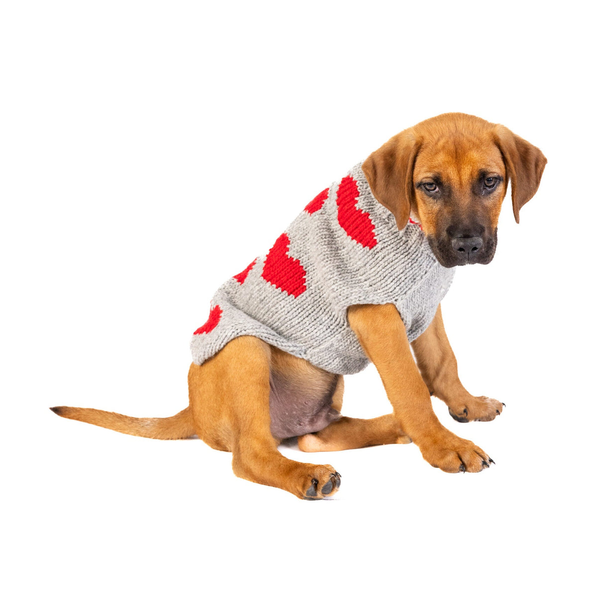 Red Hearts Dog Sweater_S_04