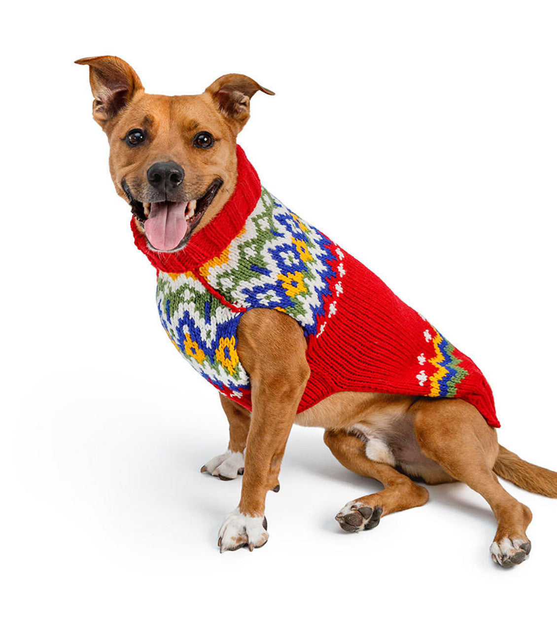 Dog wearing a colorful sweater on a white background