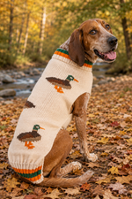 A brown hound dog wearing a knitted duck-print sweater sits on a leaf-covered ground in an autumn outdoor setting with a stream and trees in the background.