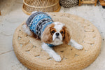Light Blue Fair Isle Wool Dog Sweater M front