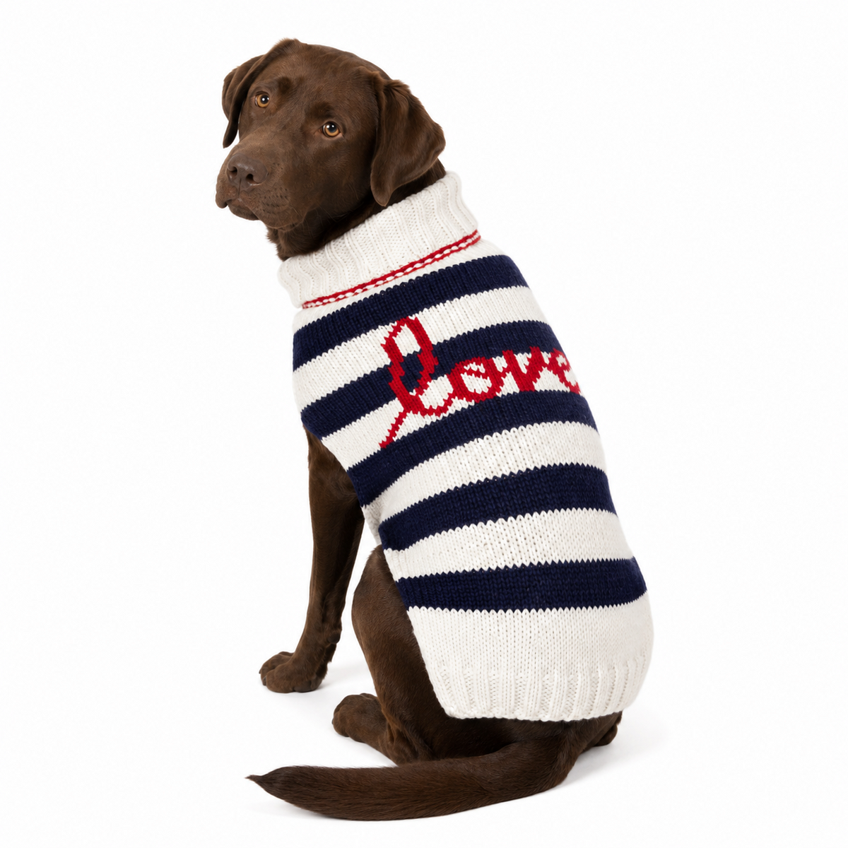 Dog wearing a striped sweater with 'LOVE' on a white background