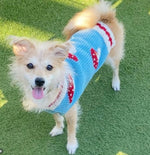 Dog wearing a blue sweater with red patterns on a grassy background