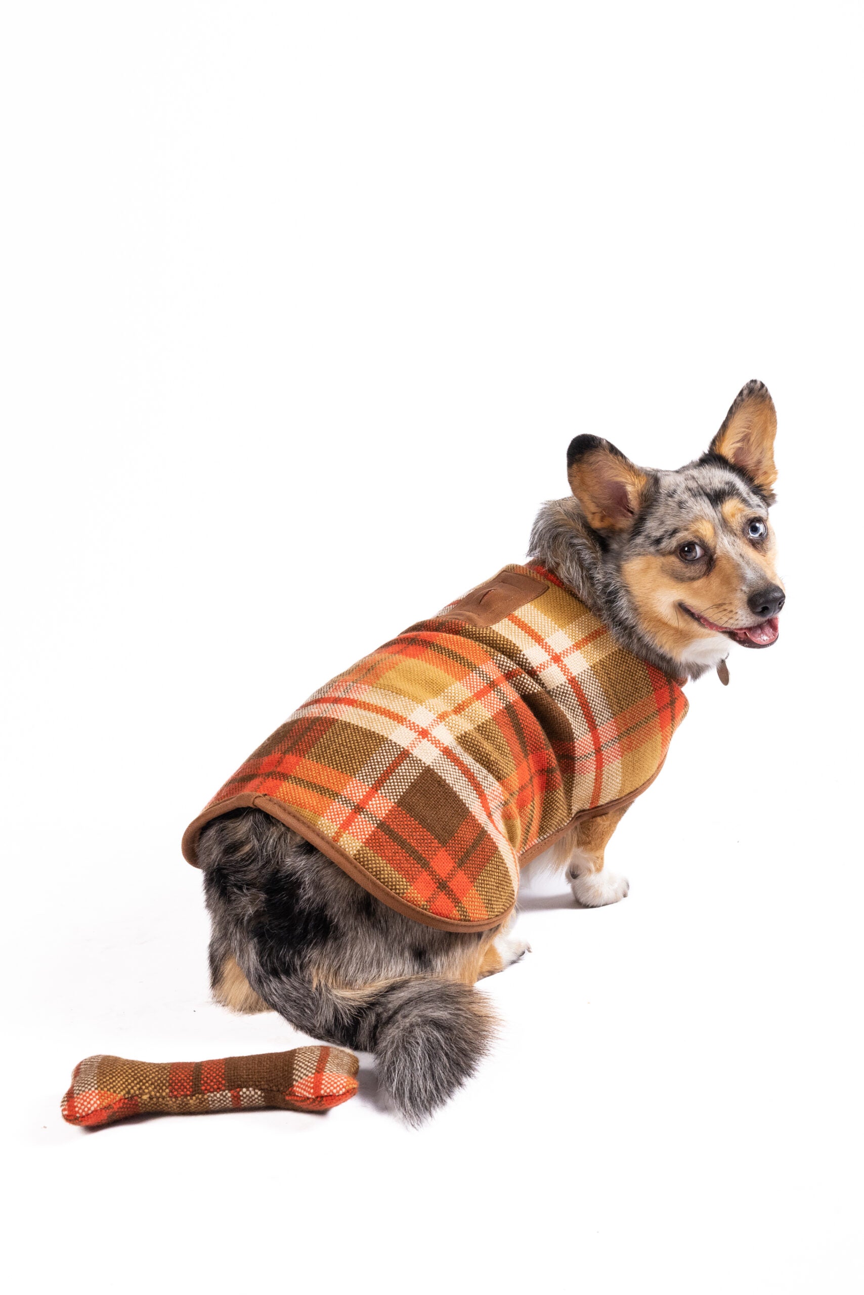 Rust Plaid Dog Coat - medium - product back
