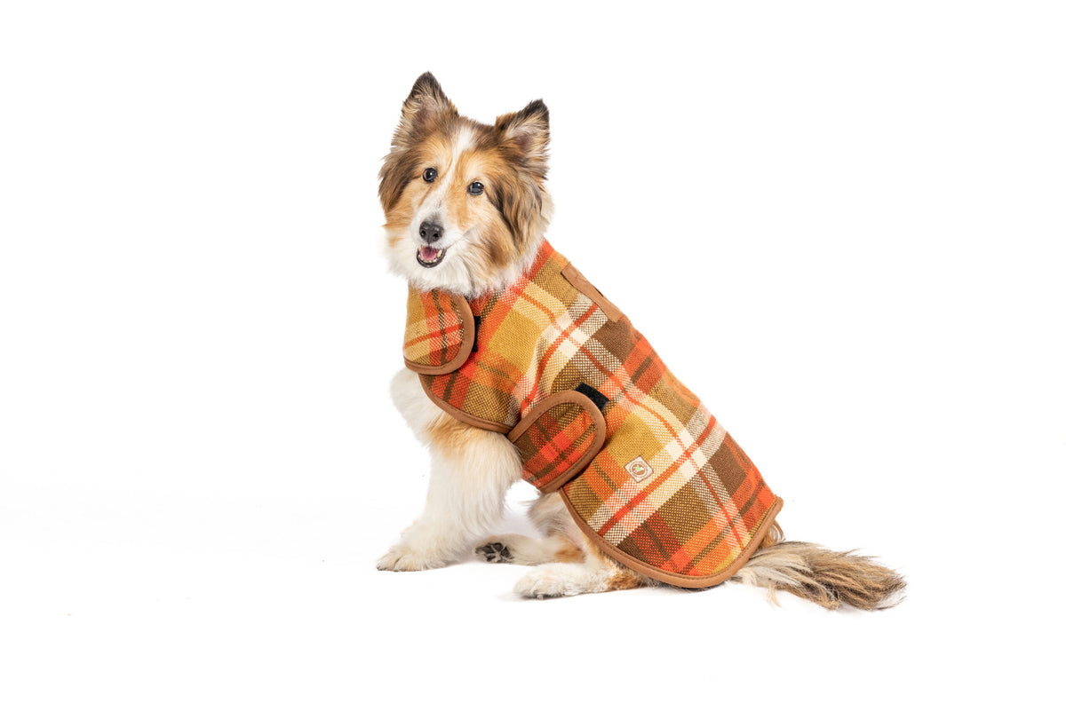 Rust Plaid Dog Coat - large - full product view