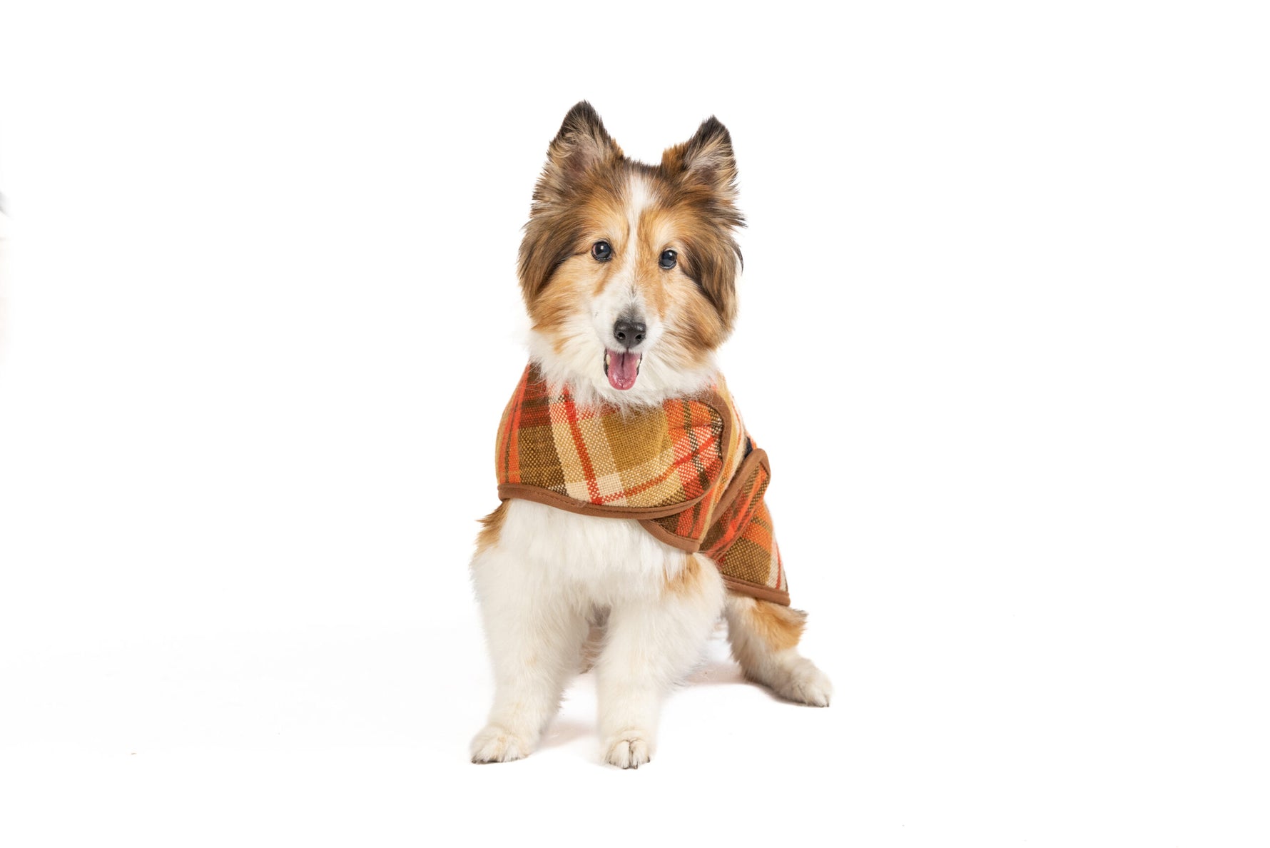 Rust Plaid Dog Coat - large - product front