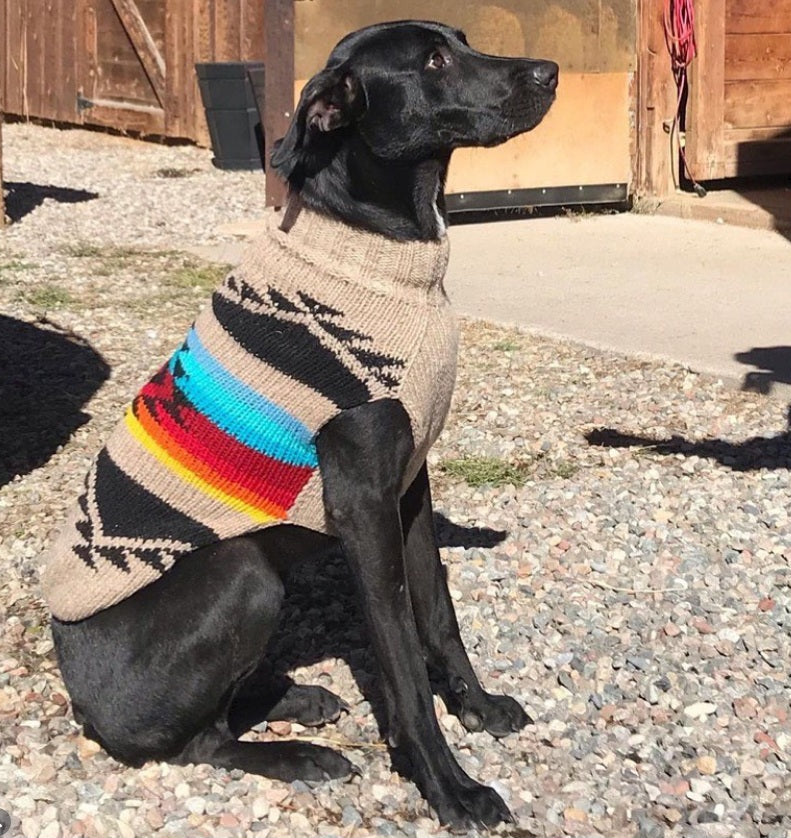 Black dog wearing a colorful sweater sitting on a gravel surface.