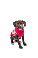 Pink & White Stripe Katie Alpaca Dog Sweater