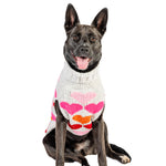 Dog wearing a colorful sweater on a white background