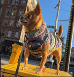 Small dog wearing a colorful knitted sweater standing on a yellow chair in an urban setting.
