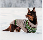 Dog wearing a patterned sweater standing in the snow