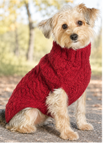 Small dog wearing a red sweater outdoors on a path with trees in the background