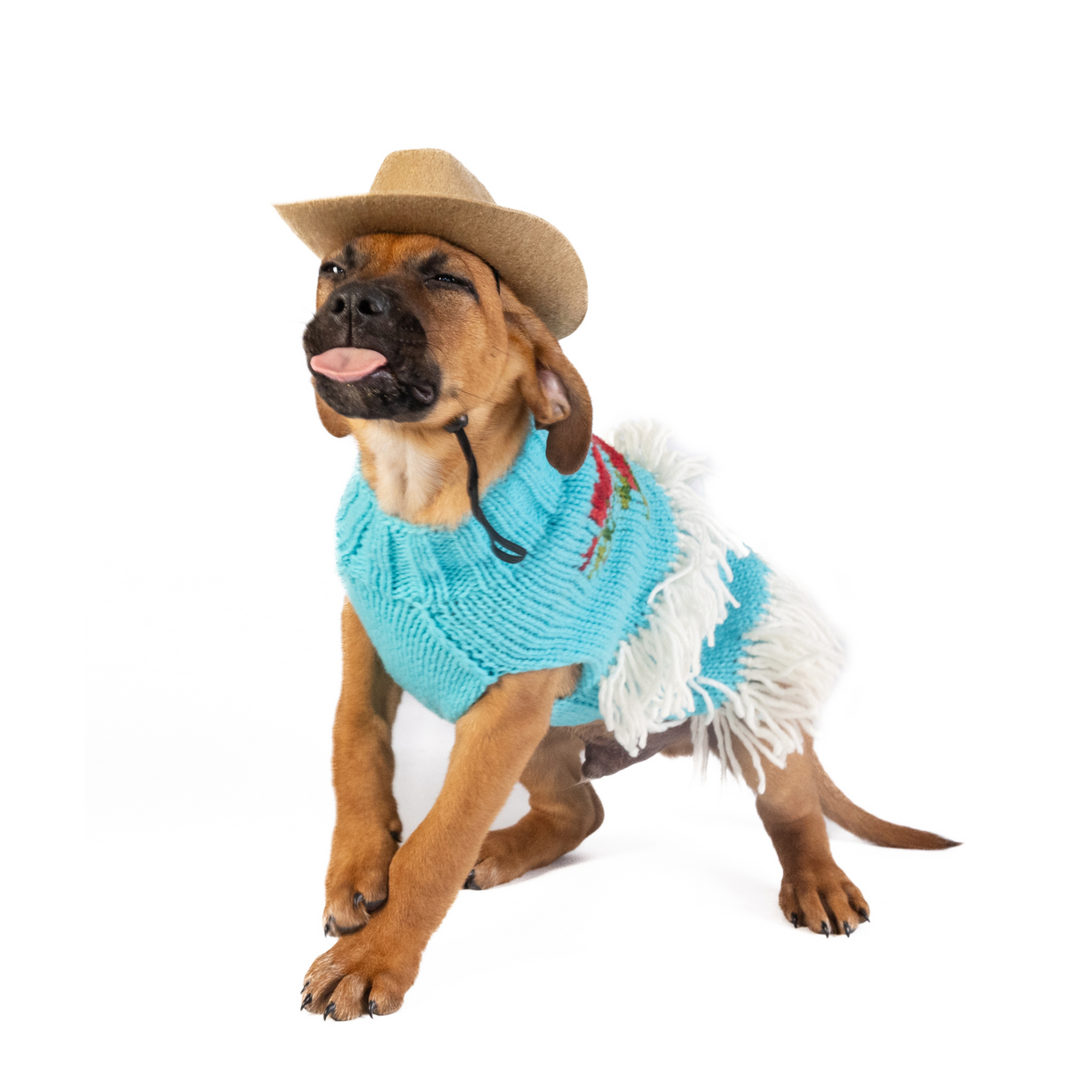 Rodeo Dog Sweater 14