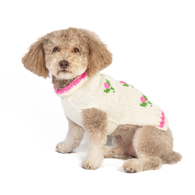 Dog wearing a floral sweater on a white background