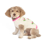 Dog wearing a floral sweater on a white background
